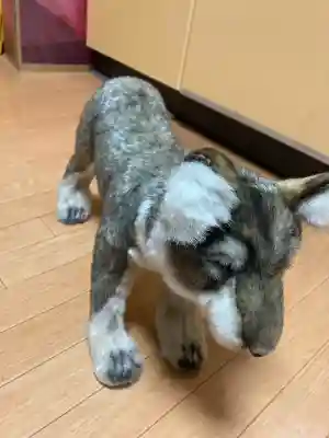 三峯神社(埼玉県)