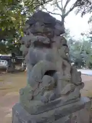 赤坂氷川神社の狛犬