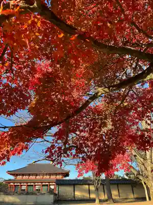 興福寺(奈良県)