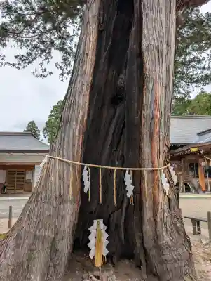 諏訪神社(岩手県)