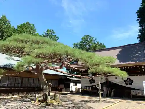 尾張冨士大宮浅間神社の本殿・本堂