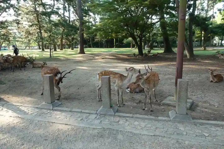 興福寺(奈良県)