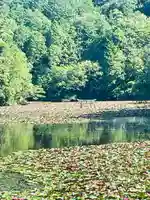八幡神社(滋賀県)