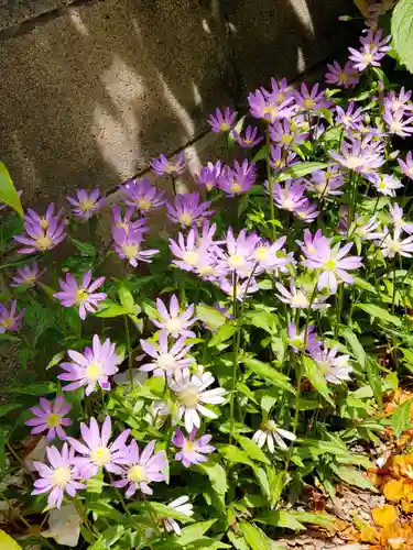 阿邪訶根神社(福島県)