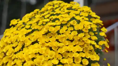 大原野神社(京都府)