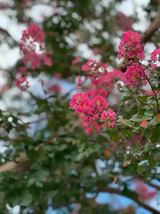平等院(京都府)