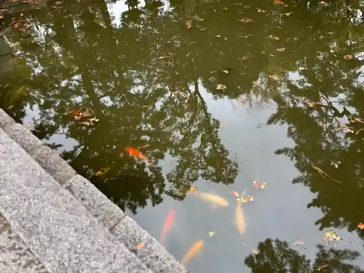 住吉大社の動物