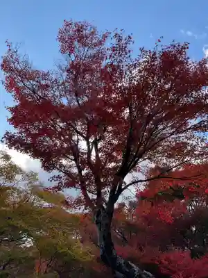 宝筐院(京都府)