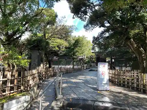 高徳院の庭園