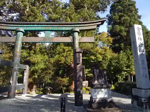 白山中居神社の鳥居