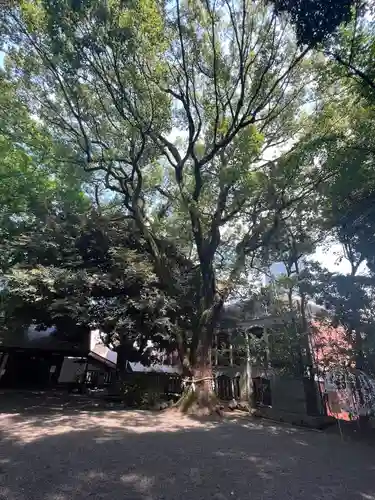 乃木神社の自然