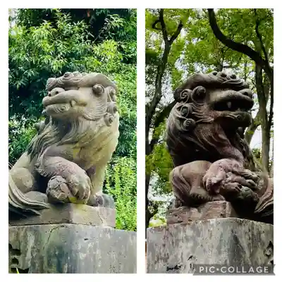 多摩川浅間神社の狛犬