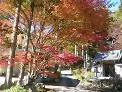 延寿禅寺の庭園