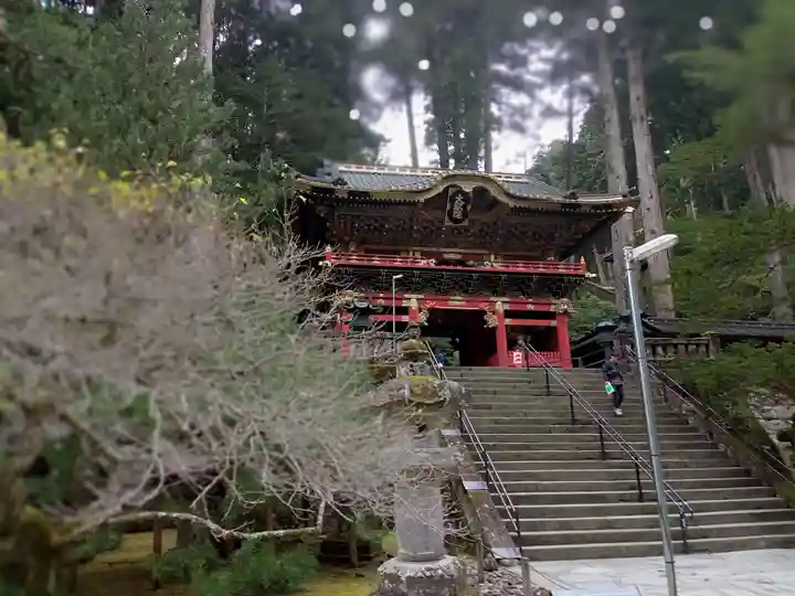 日光山輪王寺 大猷院の山門・神門