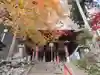 橋立堂の本殿・本堂