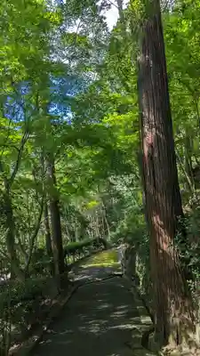 善峯寺(京都府)