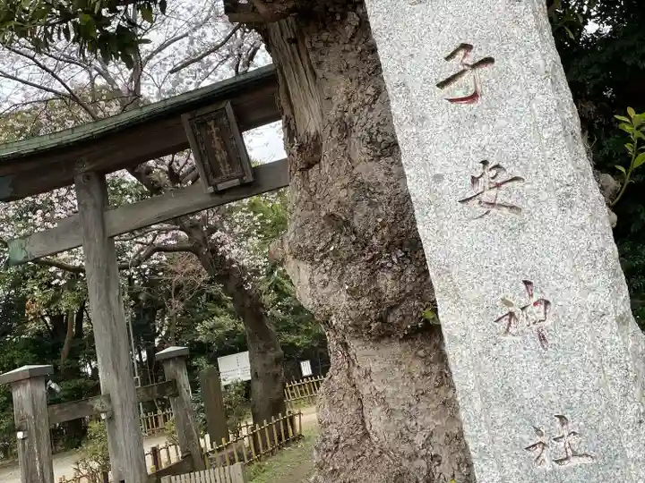 畑子安神社の鳥居