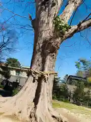 素鵞神社の建物その他