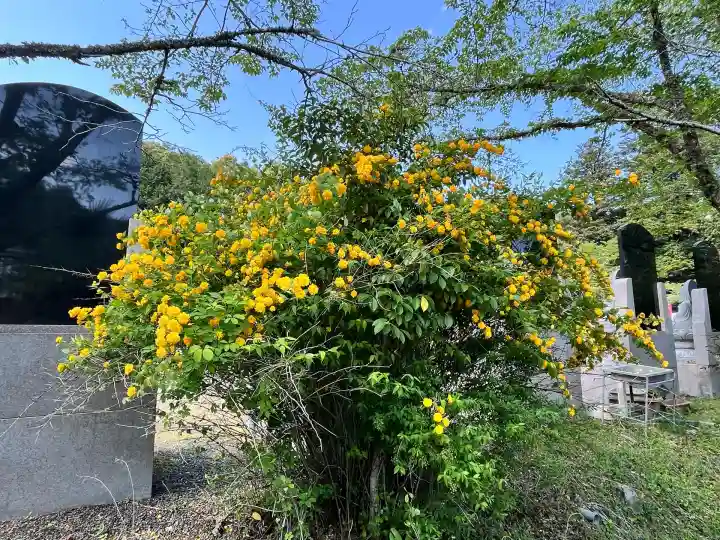 白毫寺熊野権現社(兵庫県)