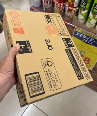 八代神社(熊本県)