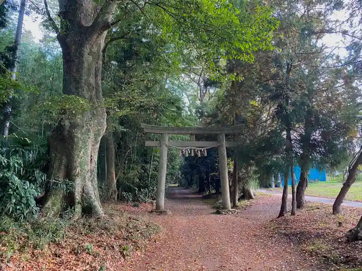子安神社の鳥居