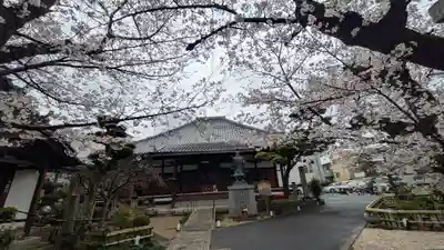 墨染寺（桜寺）(京都府)