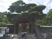 長谷寺の山門・神門