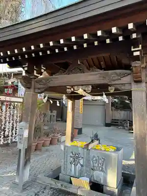川越八幡宮(埼玉県)