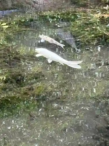 赤城神社(三夜沢町)(群馬県)