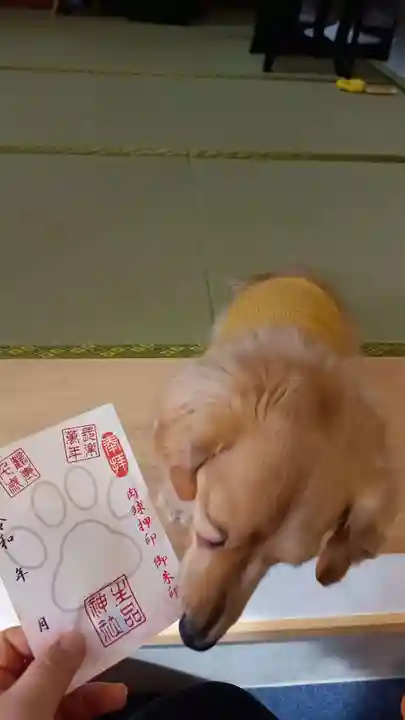 生品神社の御朱印