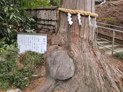 神場山神社(静岡県)