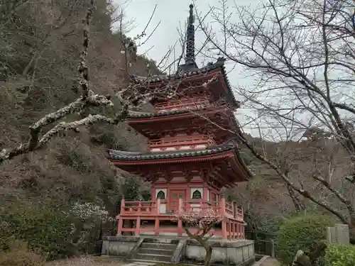 三室戸寺(京都府)