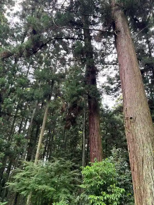 大宮温泉神社(栃木県)