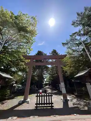 琴似神社の鳥居