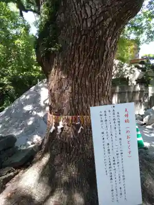 鳥飼八幡宮(福岡県)