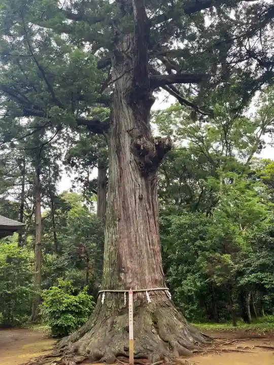 松山神社(千葉県)