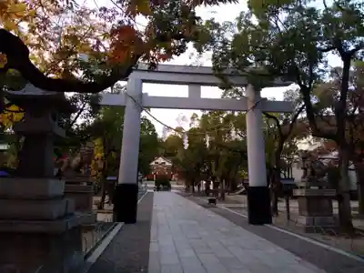湊川神社の鳥居