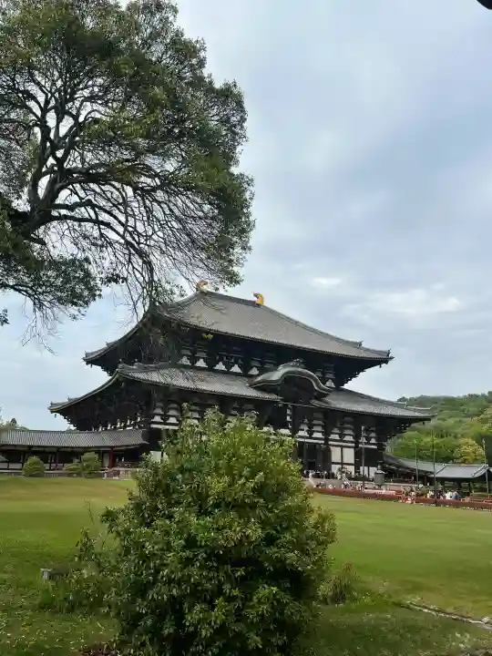 東大寺の{uncategorized: "未分類", other: "その他", undefined: "問題あり", building: "その他建物", grave: "お墓", sacred_gate: "鳥居", guardian: "狛犬", statue: "像", buddha: "仏像", history: "歴史", nature: "自然", garden: "庭園", animal: "動物", pagoda: "塔", temizu: "手水舎", mountain_gate: "山門・神門", sanctuary: "本殿・本堂", subordinate: "末社・摂社", art: "芸術", scenery: "景色", jizo: "地蔵", ema: "絵馬", goshuin: "御朱印", omikuji: "おみくじ", items: "授与品その他", amulet: "お守り", goshuincho: "御朱印帳", eats: "食事", festival: "お祭り", votive_dance: "神楽", shichigosan: "七五三参", wedding: "結婚式", experience: "体験その他", initially: "初詣", around: "周辺", anti_infection: "感染症対策"}
