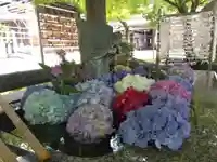足羽神社(福井県)