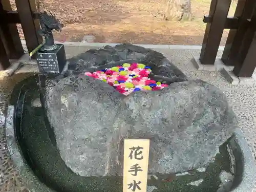 月寒神社の{uncategorized: "未分類", other: "その他", undefined: "問題あり", building: "その他建物", grave: "お墓", sacred_gate: "鳥居", guardian: "狛犬", statue: "像", buddha: "仏像", history: "歴史", nature: "自然", garden: "庭園", animal: "動物", pagoda: "塔", temizu: "手水舎", mountain_gate: "山門・神門", sanctuary: "本殿・本堂", subordinate: "末社・摂社", art: "芸術", scenery: "景色", jizo: "地蔵", ema: "絵馬", goshuin: "御朱印", omikuji: "おみくじ", items: "授与品その他", amulet: "お守り", goshuincho: "御朱印帳", eats: "食事", festival: "お祭り", votive_dance: "神楽", shichigosan: "七五三参", wedding: "結婚式", experience: "体験その他", initially: "初詣", around: "周辺", anti_infection: "感染症対策"}
