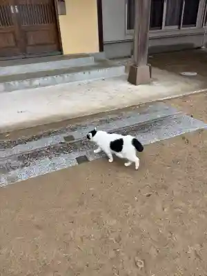 鎌数伊勢大神宮の{uncategorized: "未分類", other: "その他", undefined: "問題あり", building: "その他建物", grave: "お墓", sacred_gate: "鳥居", guardian: "狛犬", statue: "像", buddha: "仏像", history: "歴史", nature: "自然", garden: "庭園", animal: "動物", pagoda: "塔", temizu: "手水舎", mountain_gate: "山門・神門", sanctuary: "本殿・本堂", subordinate: "末社・摂社", art: "芸術", scenery: "景色", jizo: "地蔵", ema: "絵馬", goshuin: "御朱印", omikuji: "おみくじ", items: "授与品その他", amulet: "お守り", goshuincho: "御朱印帳", eats: "食事", festival: "お祭り", votive_dance: "神楽", shichigosan: "七五三参", wedding: "結婚式", experience: "体験その他", initially: "初詣", around: "周辺", anti_infection: "感染症対策"}