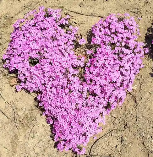 厚別神社(北海道)