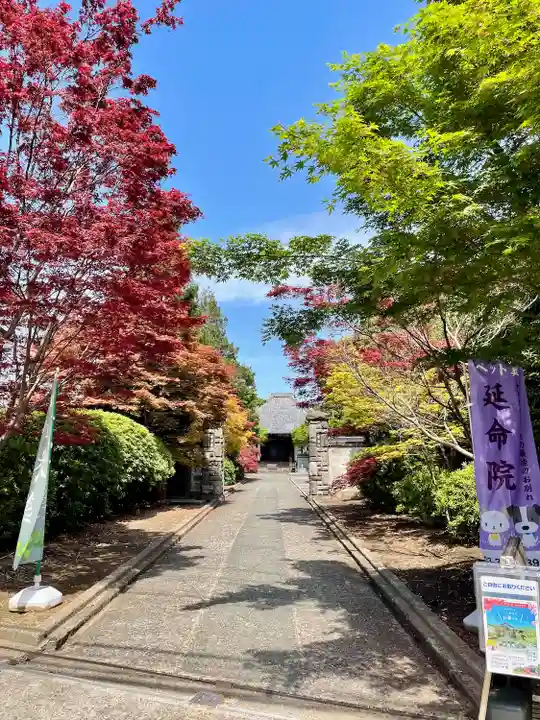 延命院(東京都)