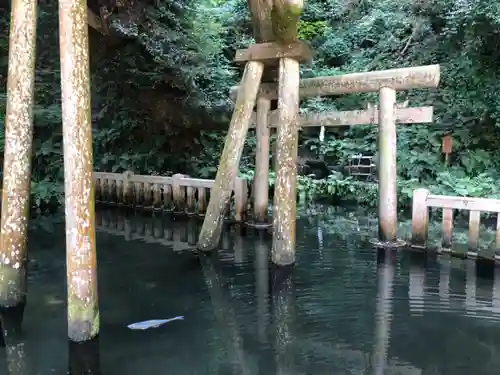 鹿島神宮の鳥居