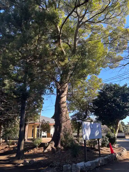 香取神社(千葉県)