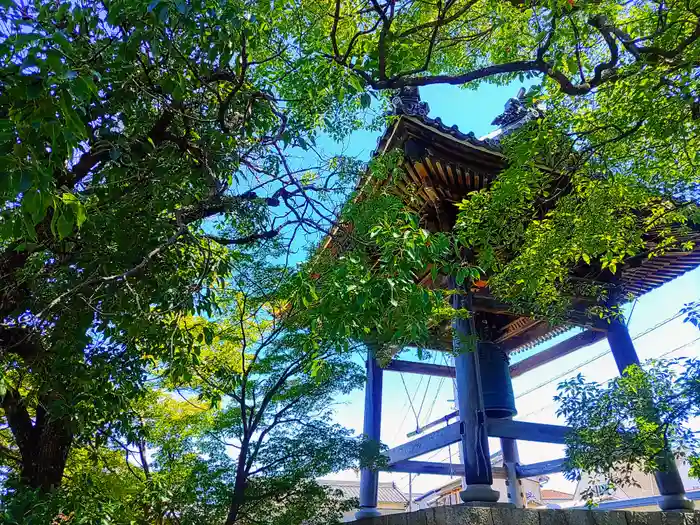 普元寺の建物その他