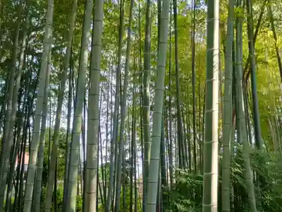妙寿寺(東京都)