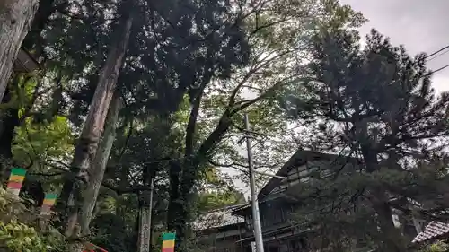 日石寺の自然