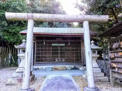 松尾神社（坂井松尾神社）の鳥居