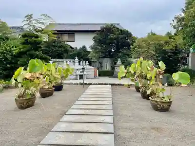 本瑞寺(神奈川県)